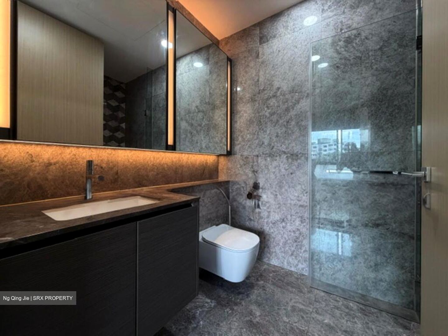 Leedon Green (D10), Condominium #566294121